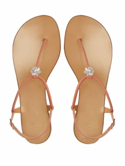 Women Giuseppe Zanotti Floral-applique Leather Flip-flops 9 Women Giuseppe Zanotti Floral-applique Leather Flip-flops -Giuseppe Zanotti 17180907 34822892 1000
