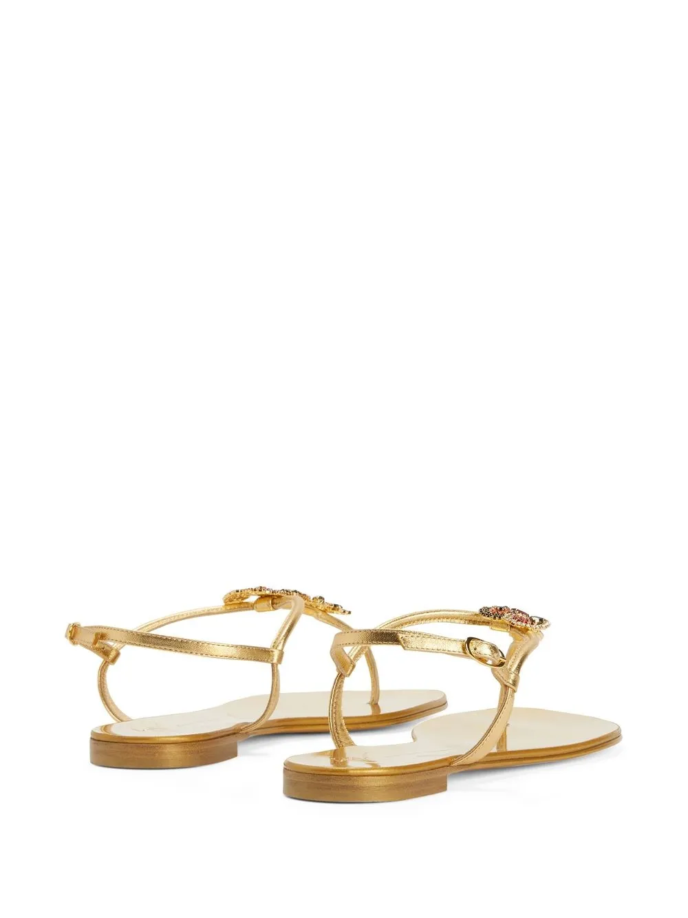 Women Giuseppe Zanotti Tropical Beach Flat Sandals 5 Women Giuseppe Zanotti Tropical Beach Flat Sandals - Image 3